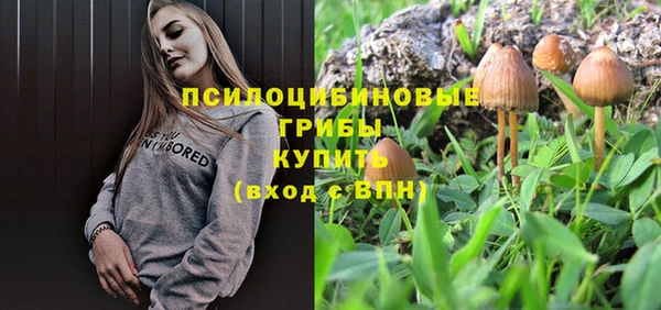 хмурый Алзамай