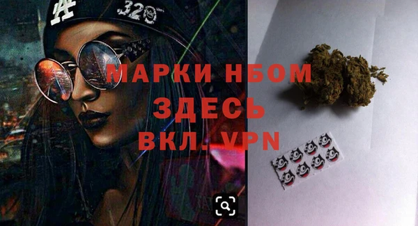 мдпв Алексин