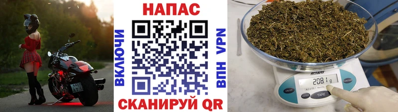 Марихуана SATIVA & INDICA  магазин  наркотиков  Могоча 